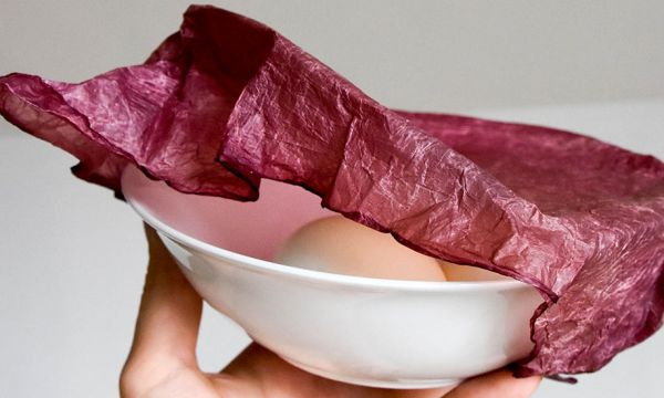 Zéro déchet : des emballages compostables fabriqués à partir de déchets agricoles