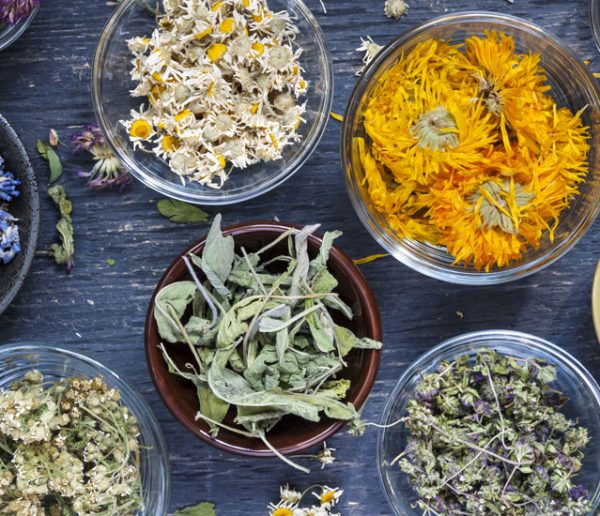 Comment préparer de la tisane maison avec les plantes que l'on trouve au jardin ?