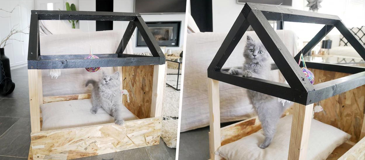 Tuto : Fabriquez un adorable lit cabane pour votre chat !