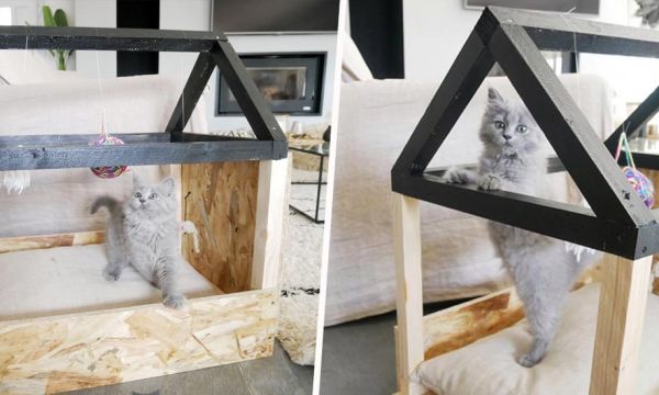 Tuto : Fabriquez un adorable lit cabane pour votre chat !