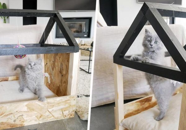 Tutoriel Construire Un Panier Pour Chat Original En Forme De Petite Maison