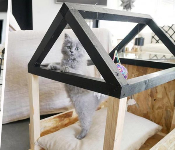 Tuto : Fabriquez un adorable lit cabane pour votre chat !