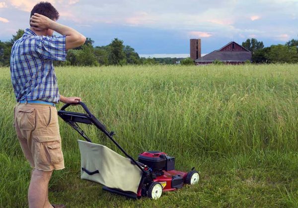 Plaidoyer D Un Paysagiste Ecolo Arretez De Tondre Vos Pelouses