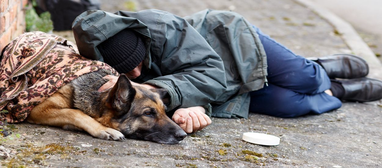 Des étudiants en école vétérinaire soignent gratuitement les animaux des sans-abris