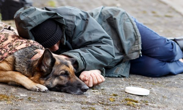 Des étudiants en école vétérinaire soignent gratuitement les animaux des sans-abris