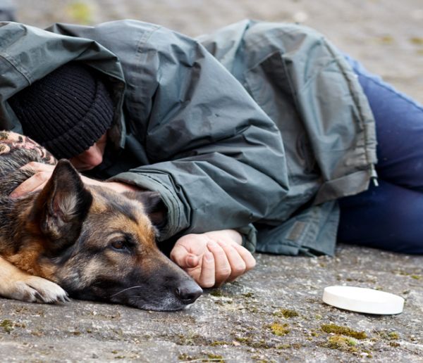 Des étudiants en école vétérinaire soignent gratuitement les animaux des sans-abris