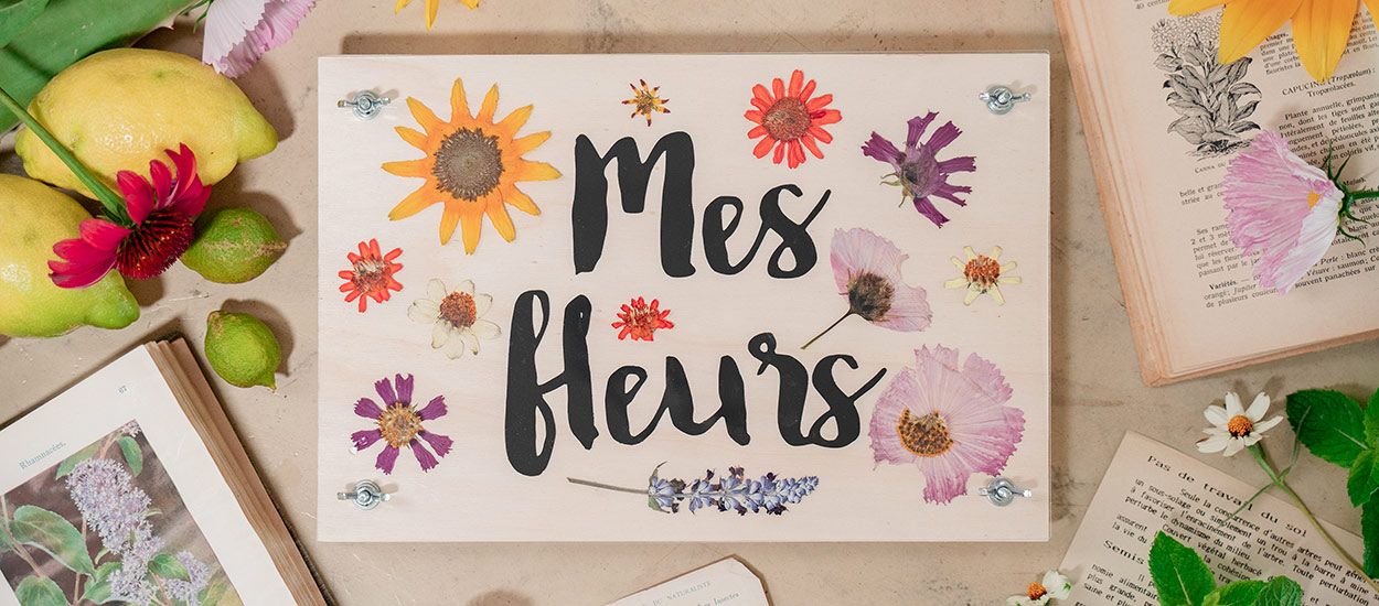 Tuto : Fabriquez cette presse à fleurs séchées, un objet déco à part entière