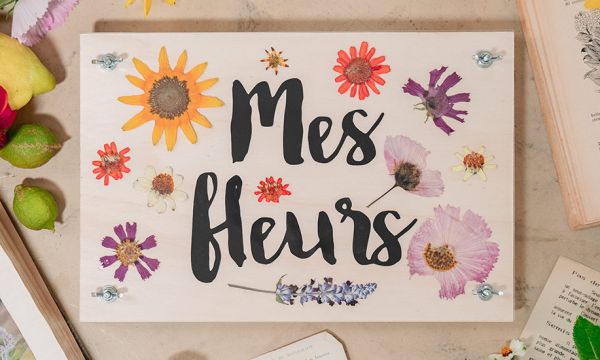 Comment réaliser une presse à fleurs pour les sécher facilement ?