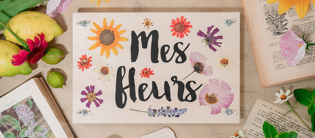Comment réaliser une presse à fleurs pour les sécher facilement ?