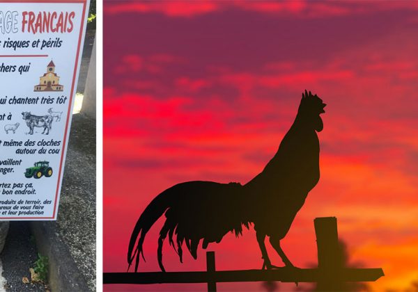Téléchargement gratuit Images Dans Ce Village Ceux Qui N Aiment Pas Le Chant Du Coq Ne Sont Pas dernière par