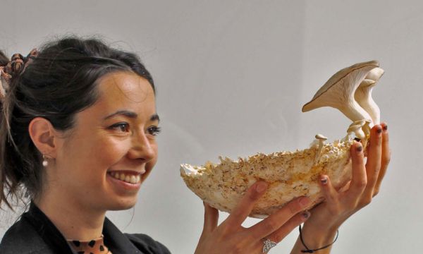 Cette designeuse française veut résoudre la pollution des mégots grâce à un champignon