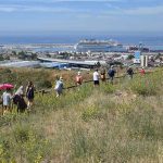 Balade sur les hauteurs de Marseille avec le collectif 1001 Pattes