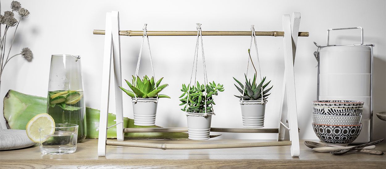 DIY suspension pour plantes : 12 idées géniales pour en fabriquer