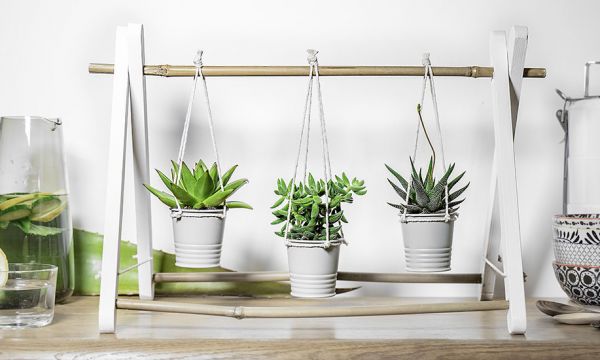 Tuto : Fabriquez une petite suspension pour mettre en valeur vos succulentes