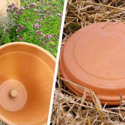 Tuto : Comment fabriquer facilement des oyas pour moins arroser votre jardin