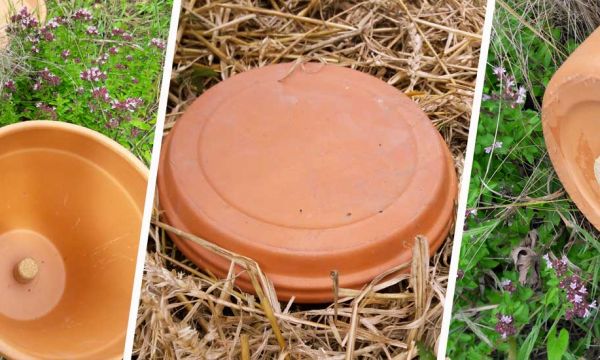 Tuto : Comment fabriquer facilement des oyas pour moins arroser votre jardin