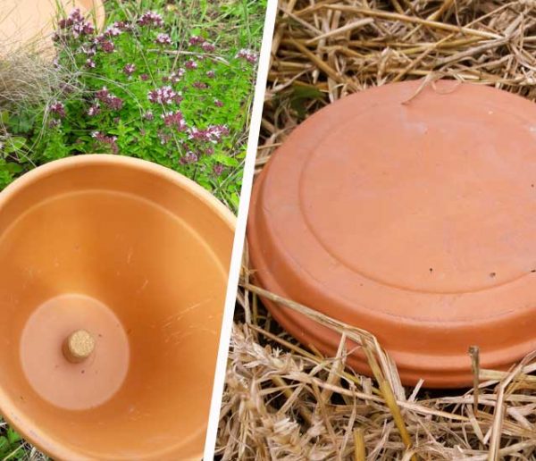 Tuto : Comment fabriquer facilement des oyas pour moins arroser votre jardin