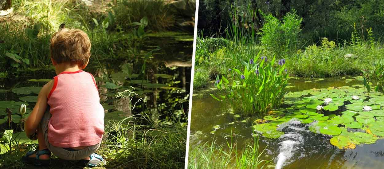 Créez une mare en quelques étapes simples pour favoriser la biodiversité au jardin