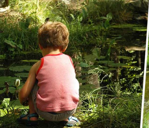 Créez une mare en quelques étapes simples pour favoriser la biodiversité au jardin