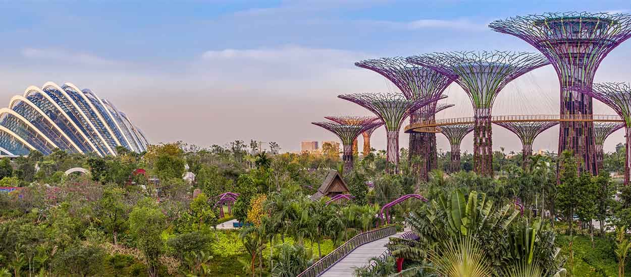 Découvrez les extraordinaires jardins futuristes de Singapour