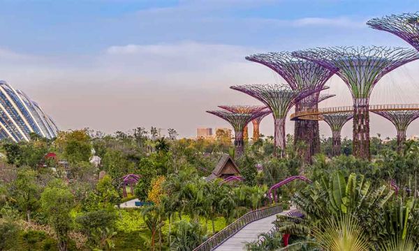 Découvrez les extraordinaires jardins futuristes de Singapour