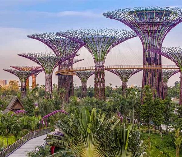 Découvrez les extraordinaires jardins futuristes de Singapour