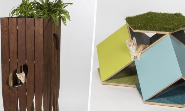 Des architectes inventent des cabanes pour les chats afin de récolter des dons