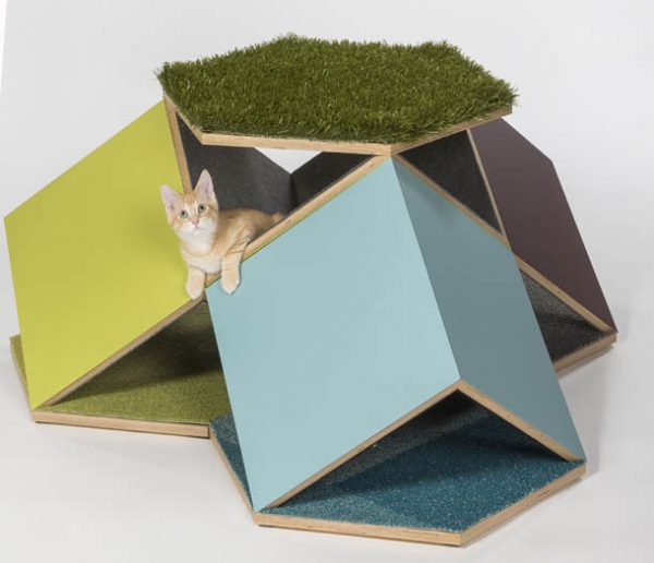 Des architectes inventent des cabanes pour les chats afin de récolter des dons