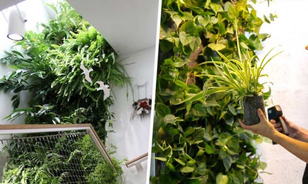 Quel mur végétal intérieur choisir : naturel, artificiel ou stabilisé ?