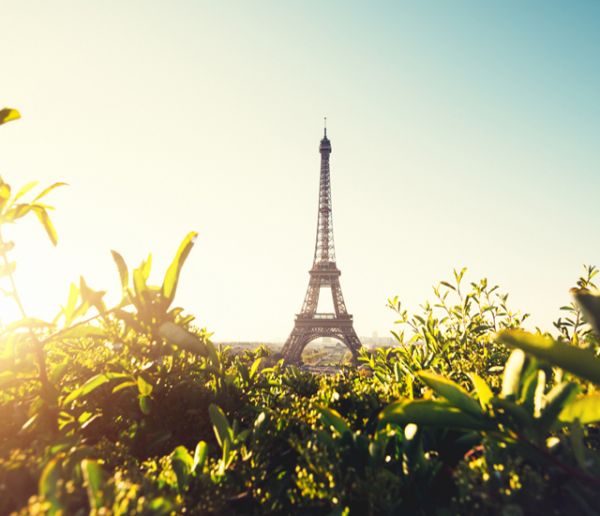 Stop au bitume : la ville de Paris met en place un dispositif pour végétaliser les trottoirs