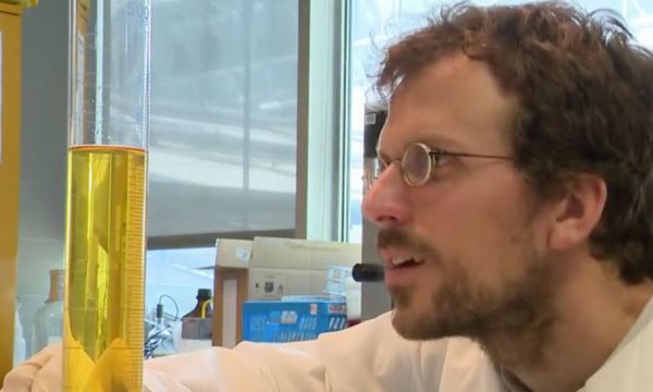 Des scientifiques veulent remplacer les engrais chimiques par de l'urine humaine