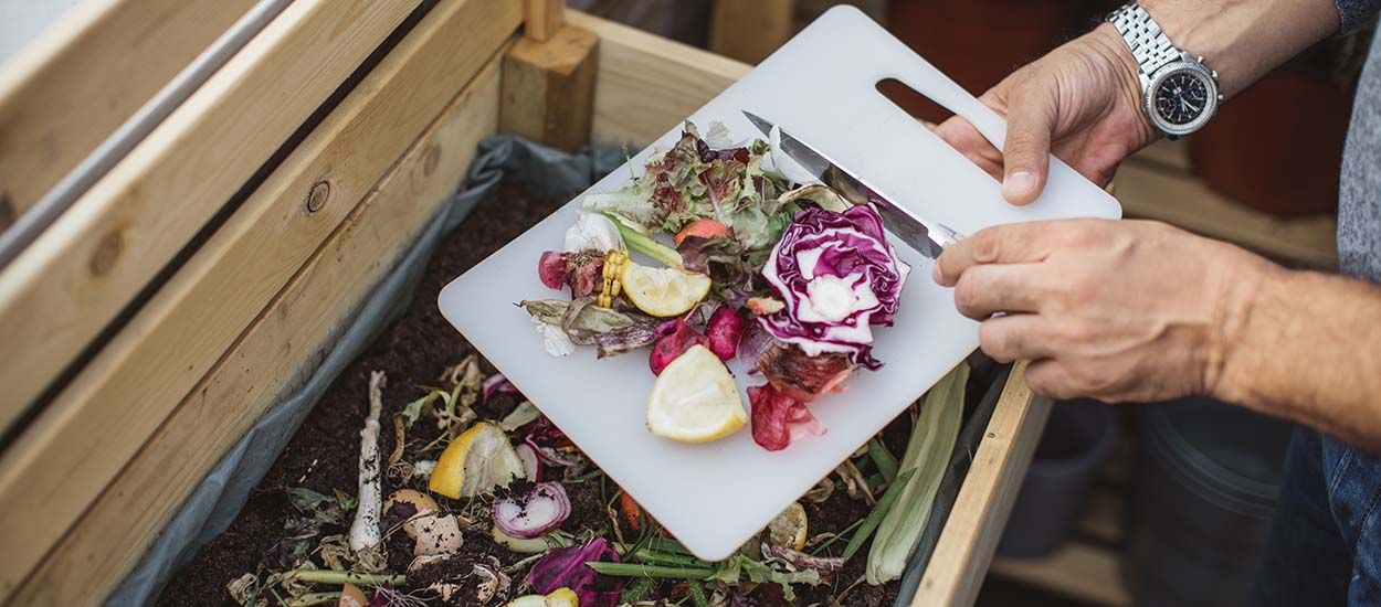 Comment éloigner les mouches et autres insectes indésirables de votre compost ?