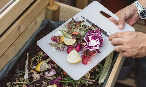 Comment éloigner les mouches et autres insectes indésirables de votre compost ?