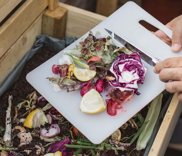 Comment éloigner les mouches et autres insectes indésirables de votre compost ?