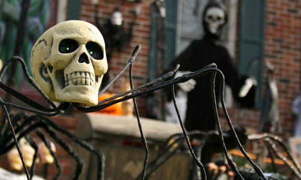 10 idées diablement effrayantes pour décorer votre jardin pour Halloween