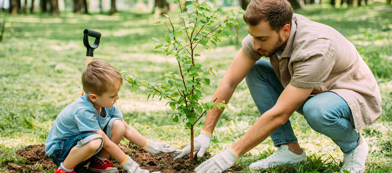 Voici comment faire pousser une petite forêt n'importe où en ville (ou au jardin)