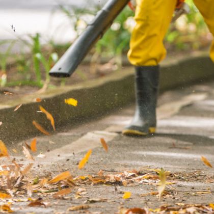 À Amiens, les feuilles mortes chauffent plus de 4000 foyers chaque année