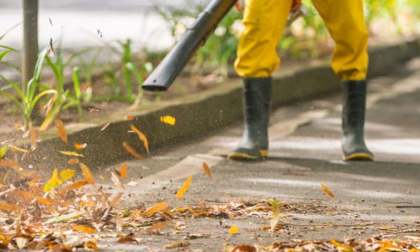 À Amiens, les feuilles mortes chauffent plus de 4000 foyers chaque année