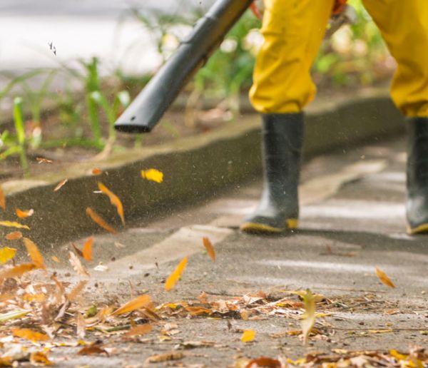 À Amiens, les feuilles mortes chauffent plus de 4000 foyers chaque année