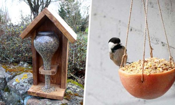 10 adorables mangeoires à fabriquer pour les oiseaux du jardin