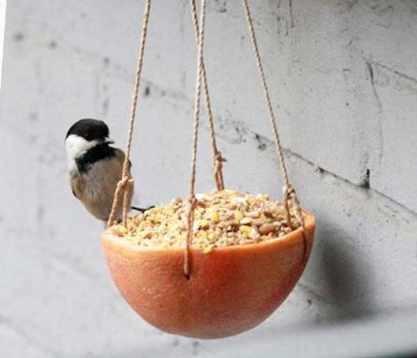 10 adorables mangeoires à fabriquer pour les oiseaux du jardin