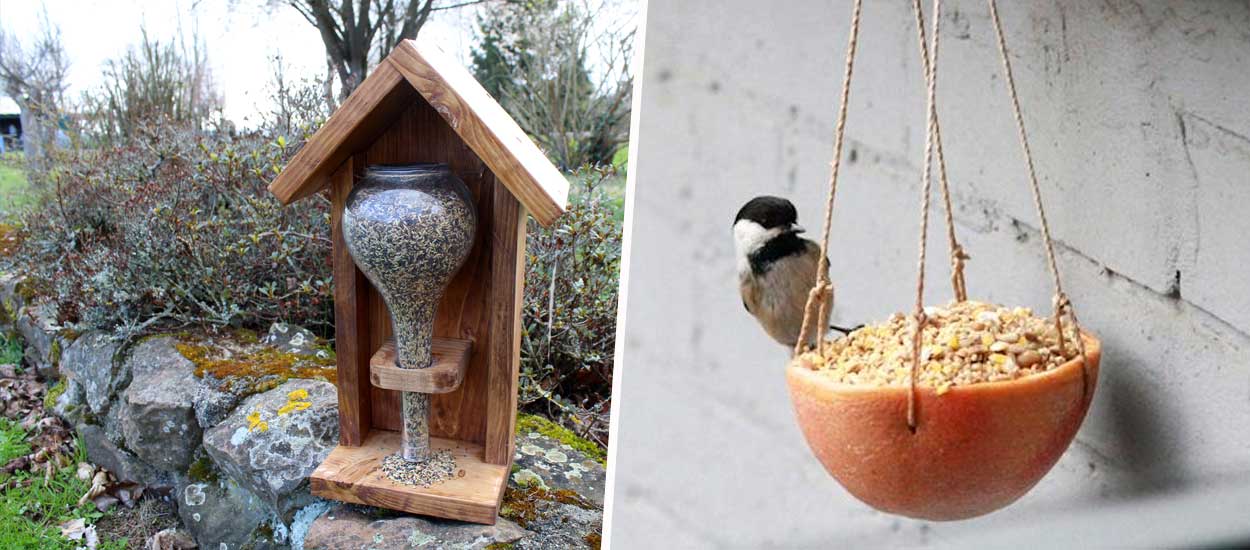 Comment fabriquer une mangeoire à oiseaux ? 10 idées simples à construire