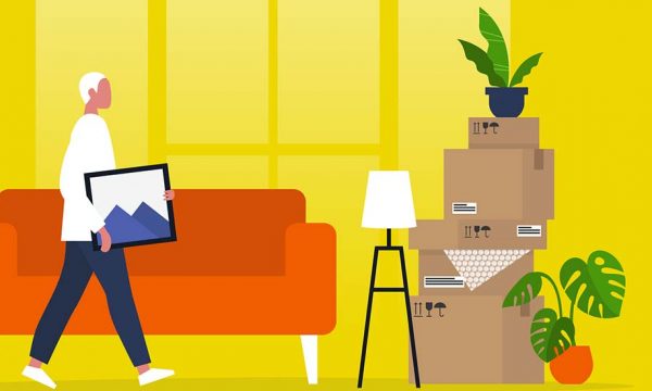Comment déménager ses plantes d'intérieur (sans les abîmer) ?