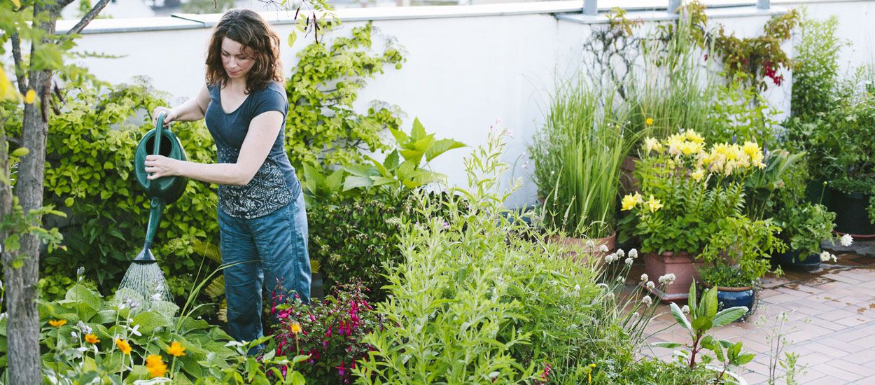 Les gens entourés de plantes et d'arbres vivent plus longtemps selon cette étude (sérieuse)