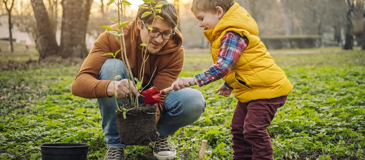 Comment planter un arbre ? Le guide complet