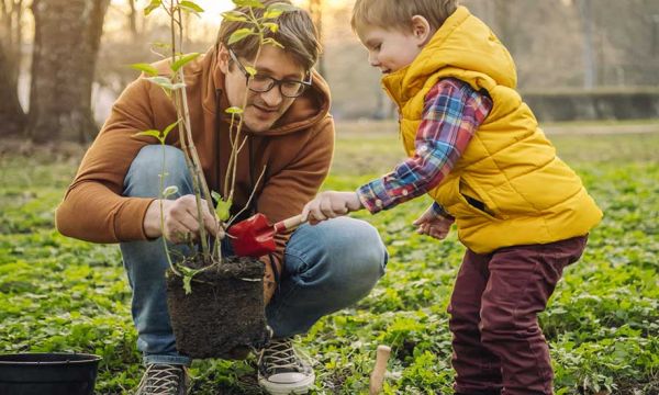 Conseils de jardiniers pour planter un arbre (et éviter qu'il ne meure au bout de quelques mois)