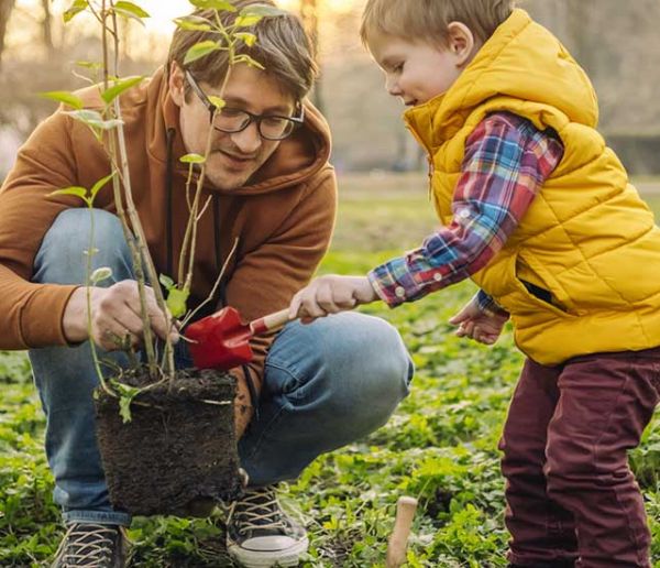 Conseils de jardiniers pour planter un arbre (et éviter qu'il ne meure au bout de quelques mois)