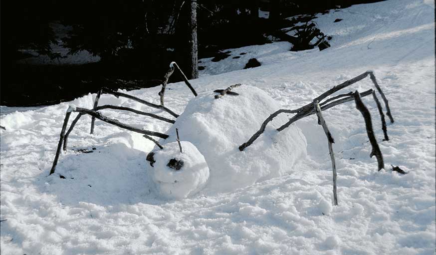 land art dans la neige Andreas Güthler et Kathrin Lacher