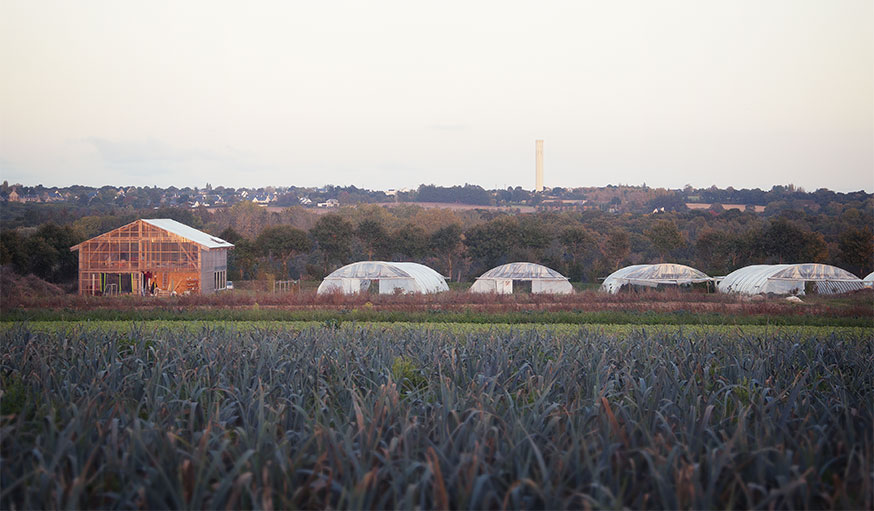 maison hangar et serres Hillion