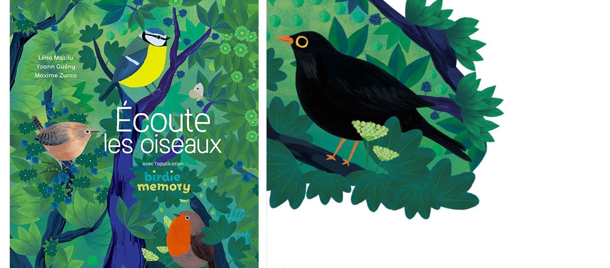 Comment apprendre le chant des oiseaux grâce à ce livre et cette application